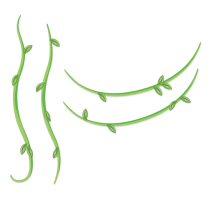 COMPLEMENTO LIANAS